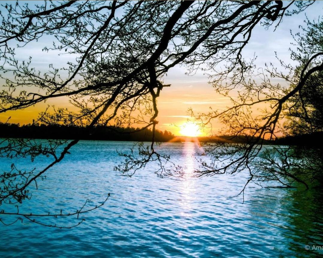 Close To The Metro And The Beach!!! With A View Of The Scandinavian Forest ستوكهولم المظهر الخارجي الصورة
