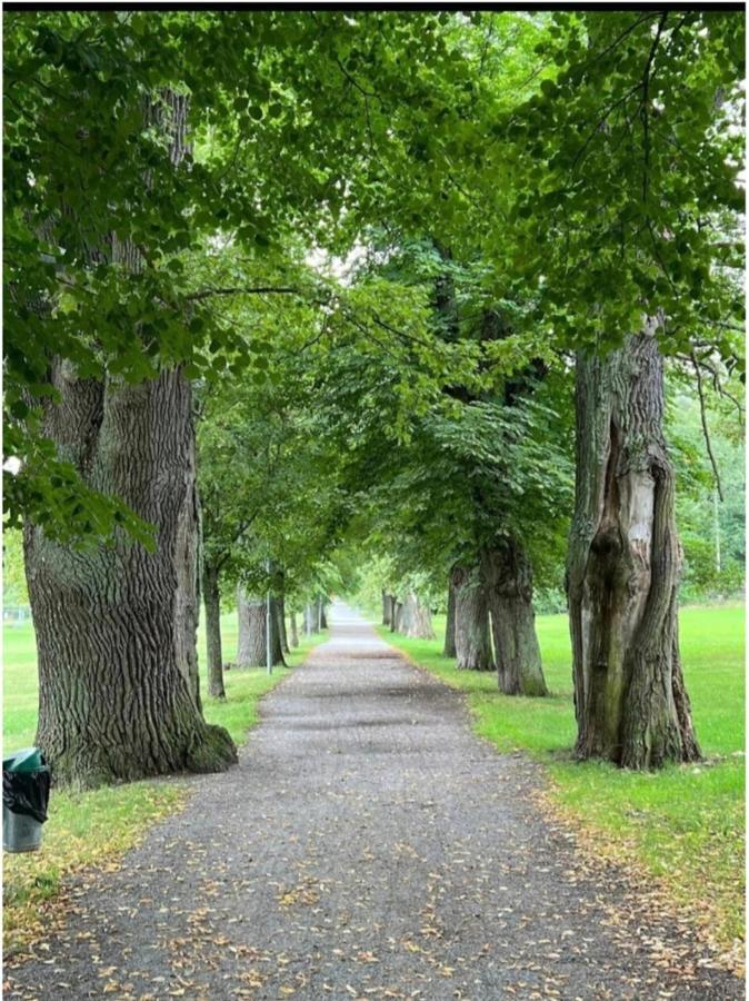 Close To The Metro And The Beach!!! With A View Of The Scandinavian Forest ستوكهولم المظهر الخارجي الصورة